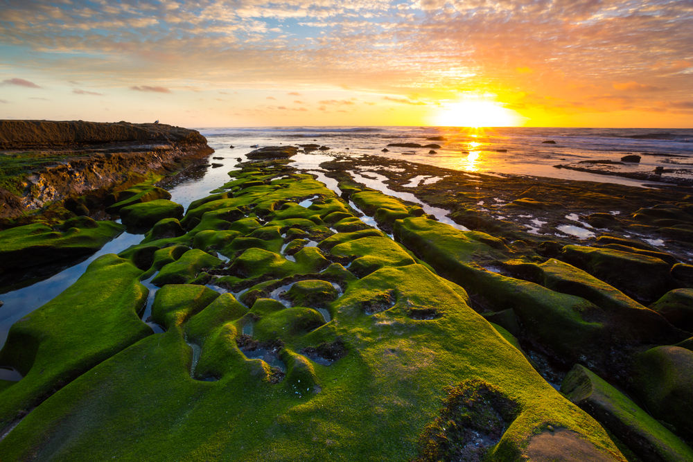 A beautiful sunset family photo location on the coast of La Jolla, San Diego, California.