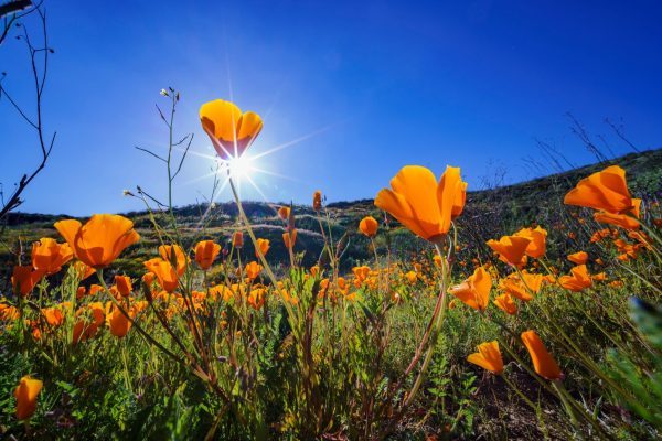 things to do in Moreno Valley