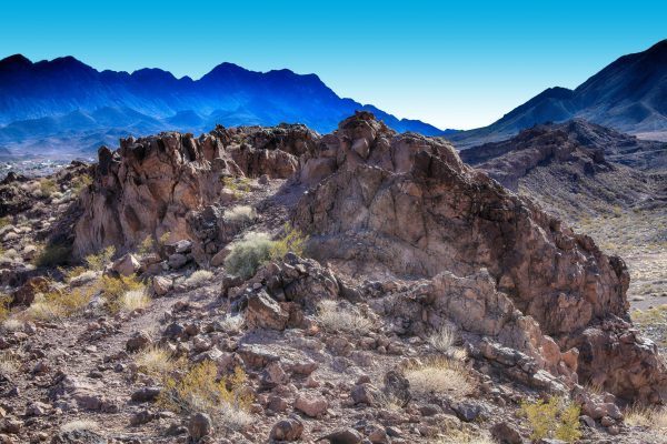 Amargosa Trail, Henderson, NV