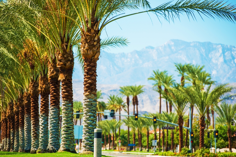 pros and cons of coachella ca