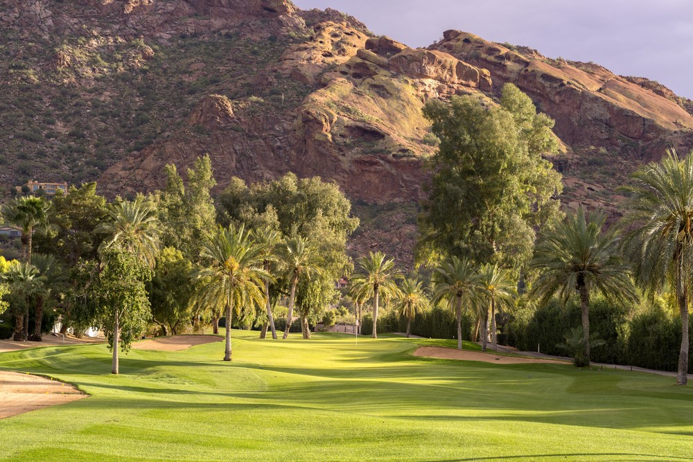 Golf course with pam trees and a mountain in the background